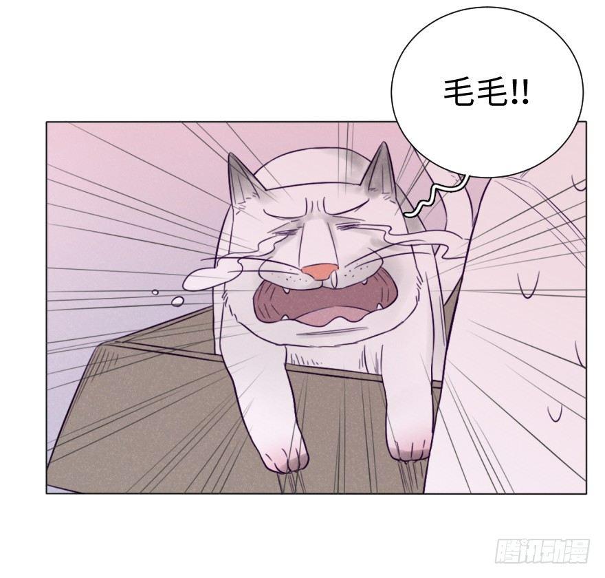 归宿-第60话
