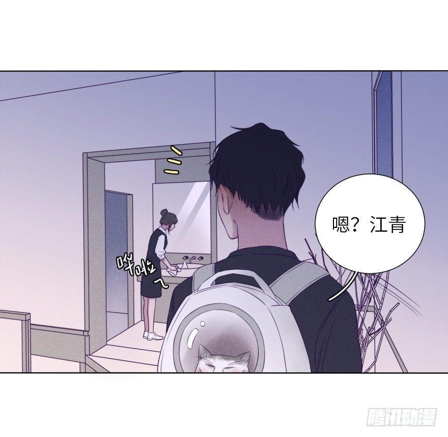 扑通(1/2)-第68话