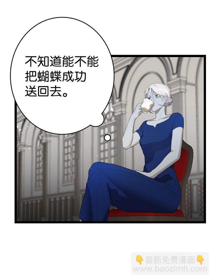 144 蝴蝶的身世(1/2)-第144话