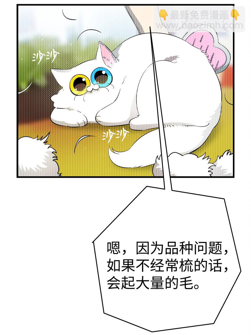 162 特别的外传(1/2)-第162话