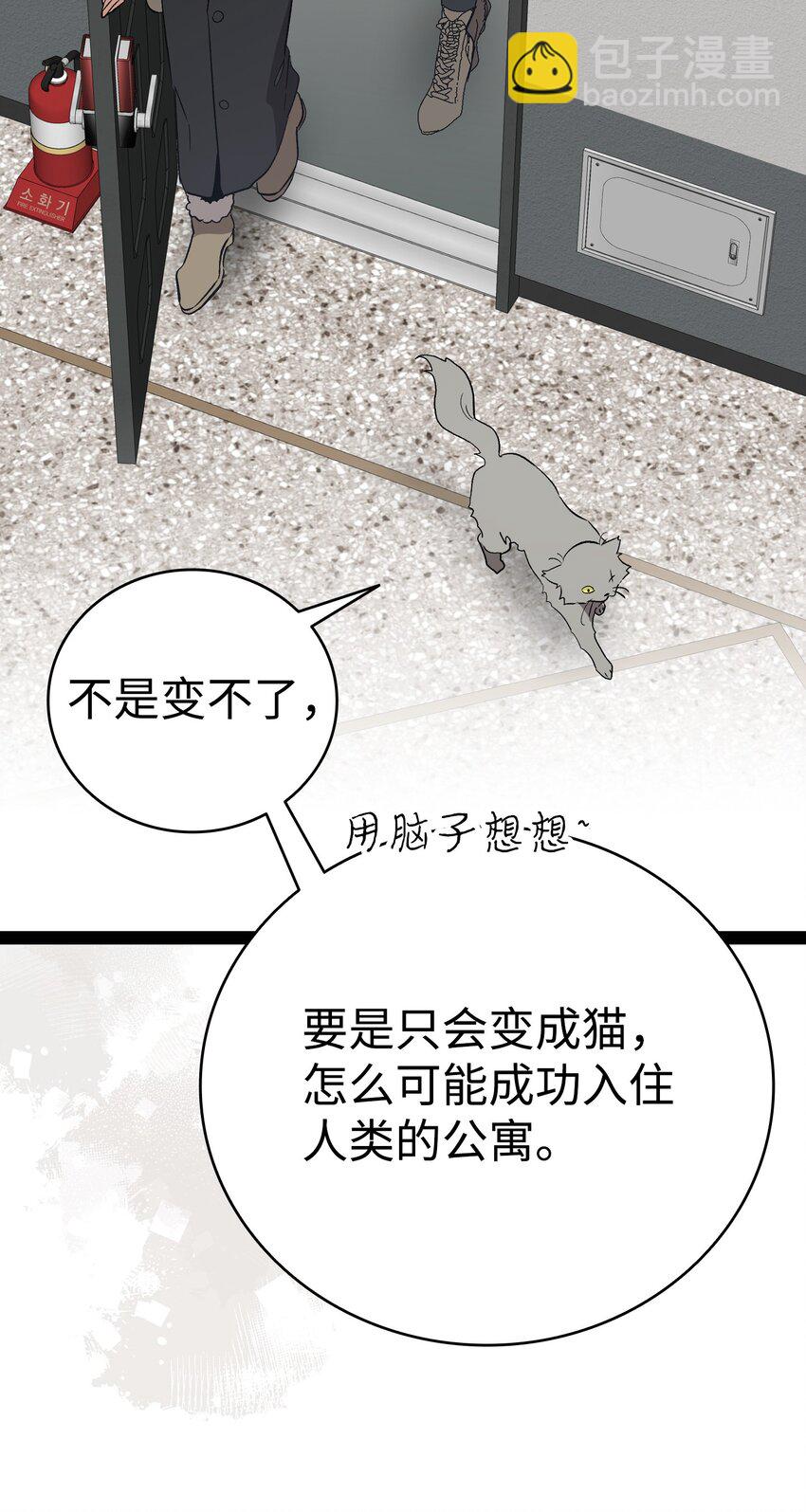 214 玩偶博物馆(1/2)-第214话