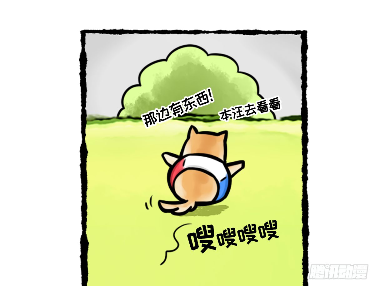 竹鼠才不要转锦鲤-第22话