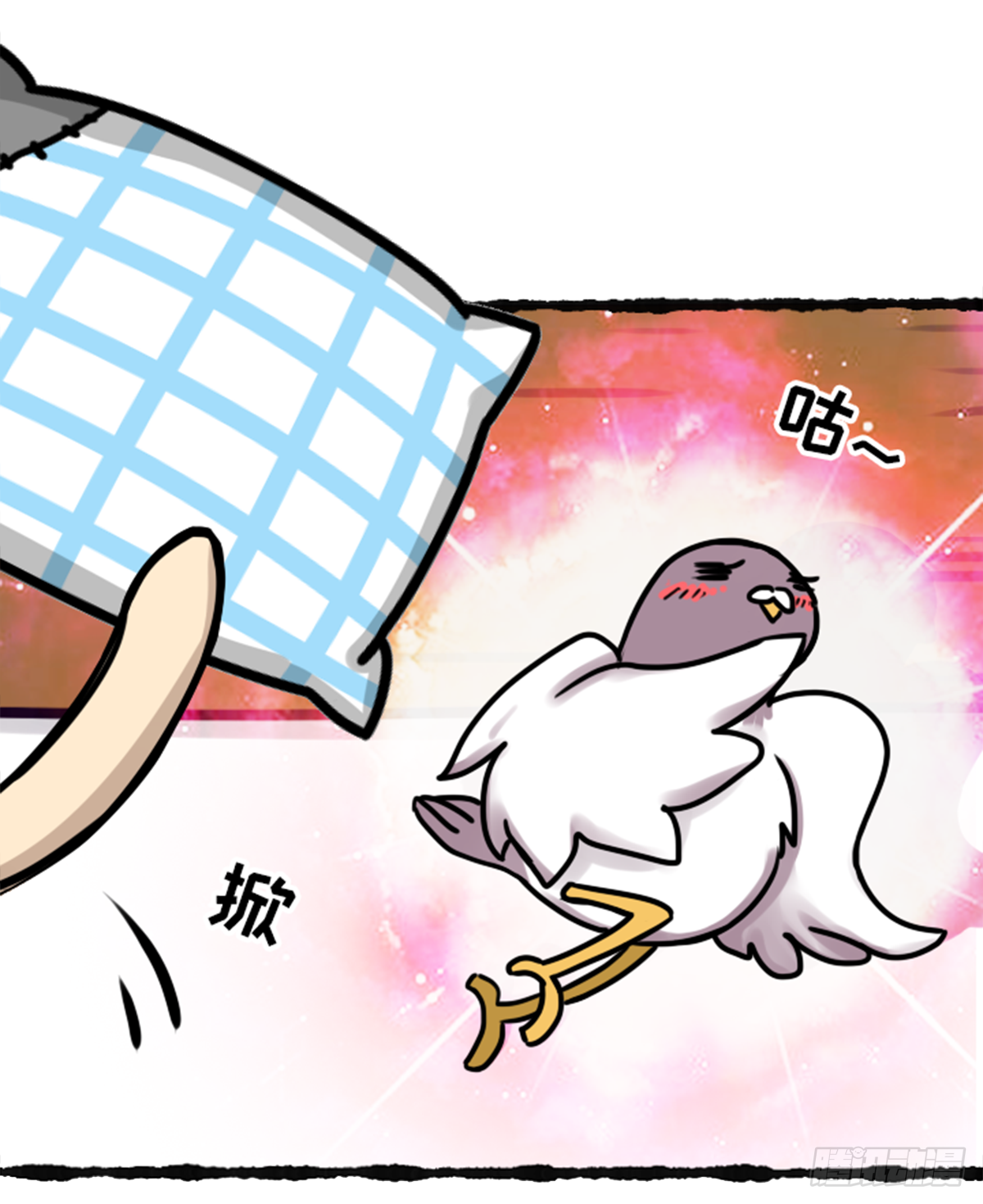 没有鸽哦-第36话