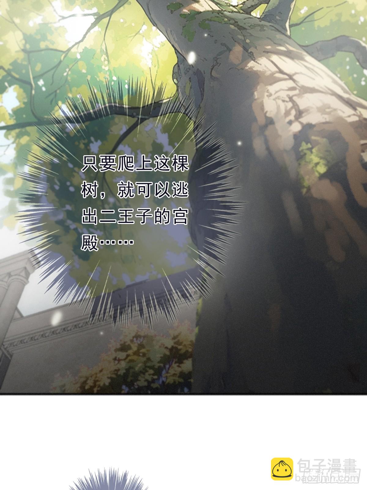 第13话 金色的小鸟(1/2)-第16话