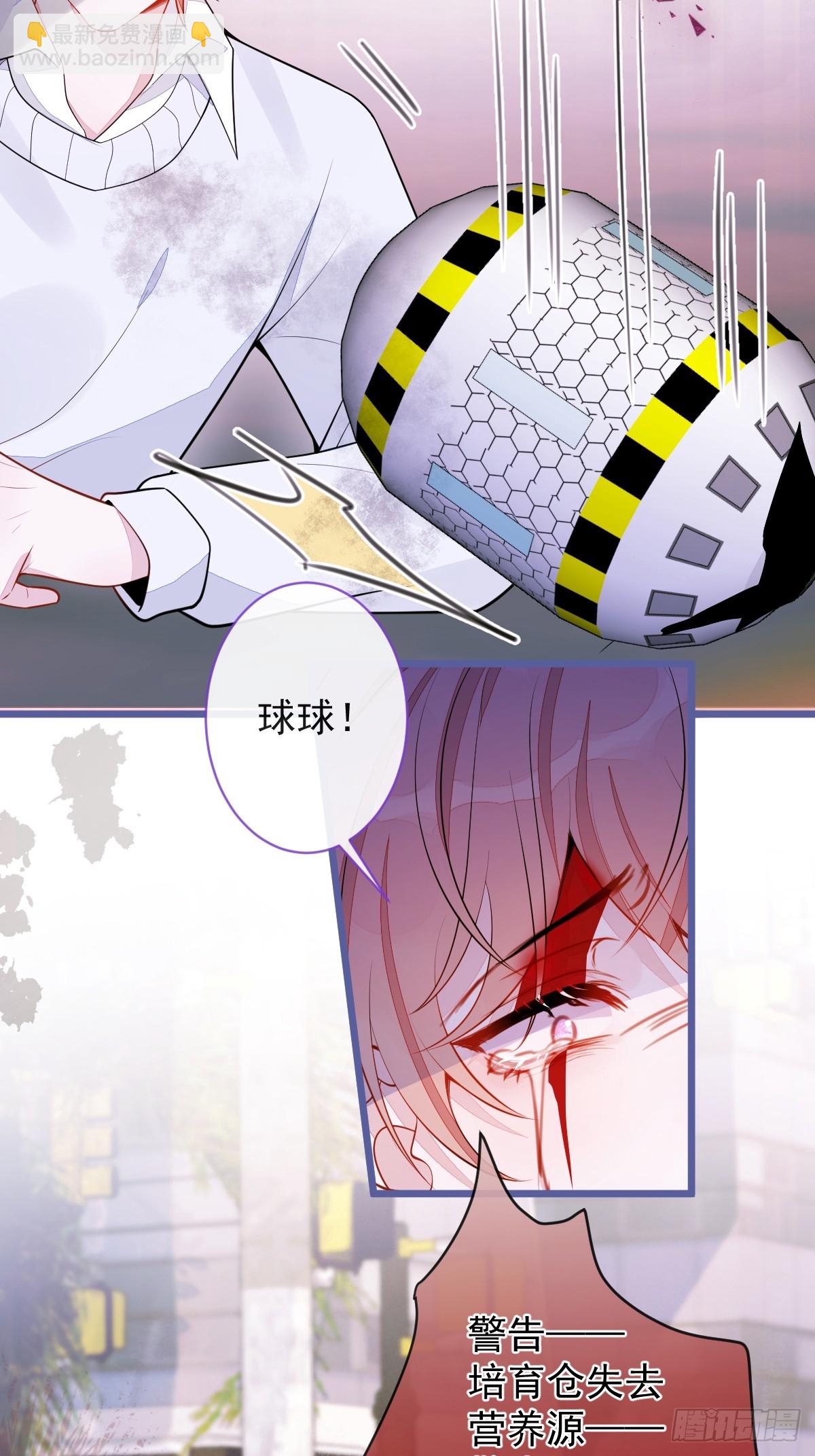 67-球球失踪-第68话