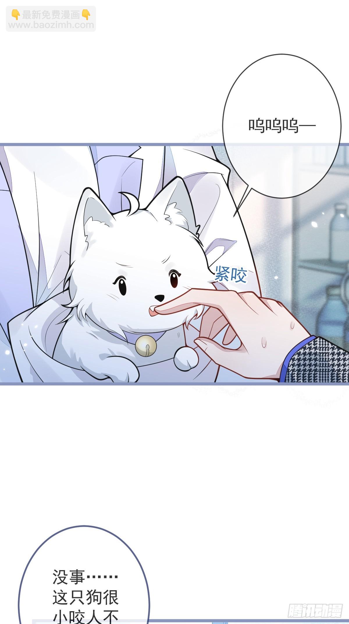 5-球球不可以！(1/2)-第6话