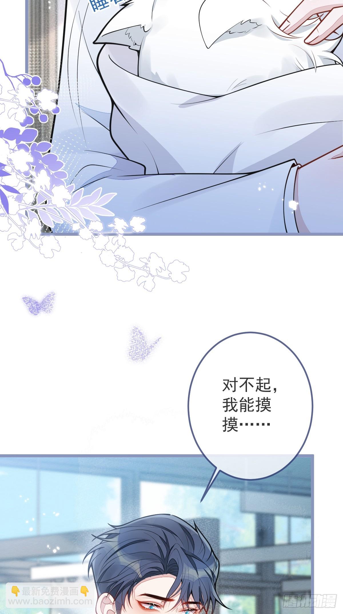 5-球球不可以！(1/2)-第6话