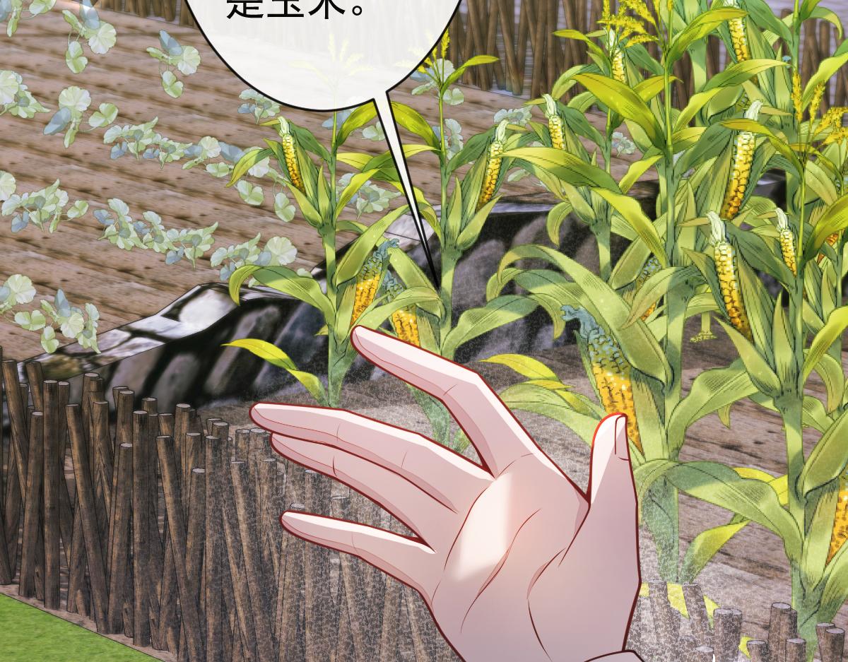 62-过往(1/3)-第64话
