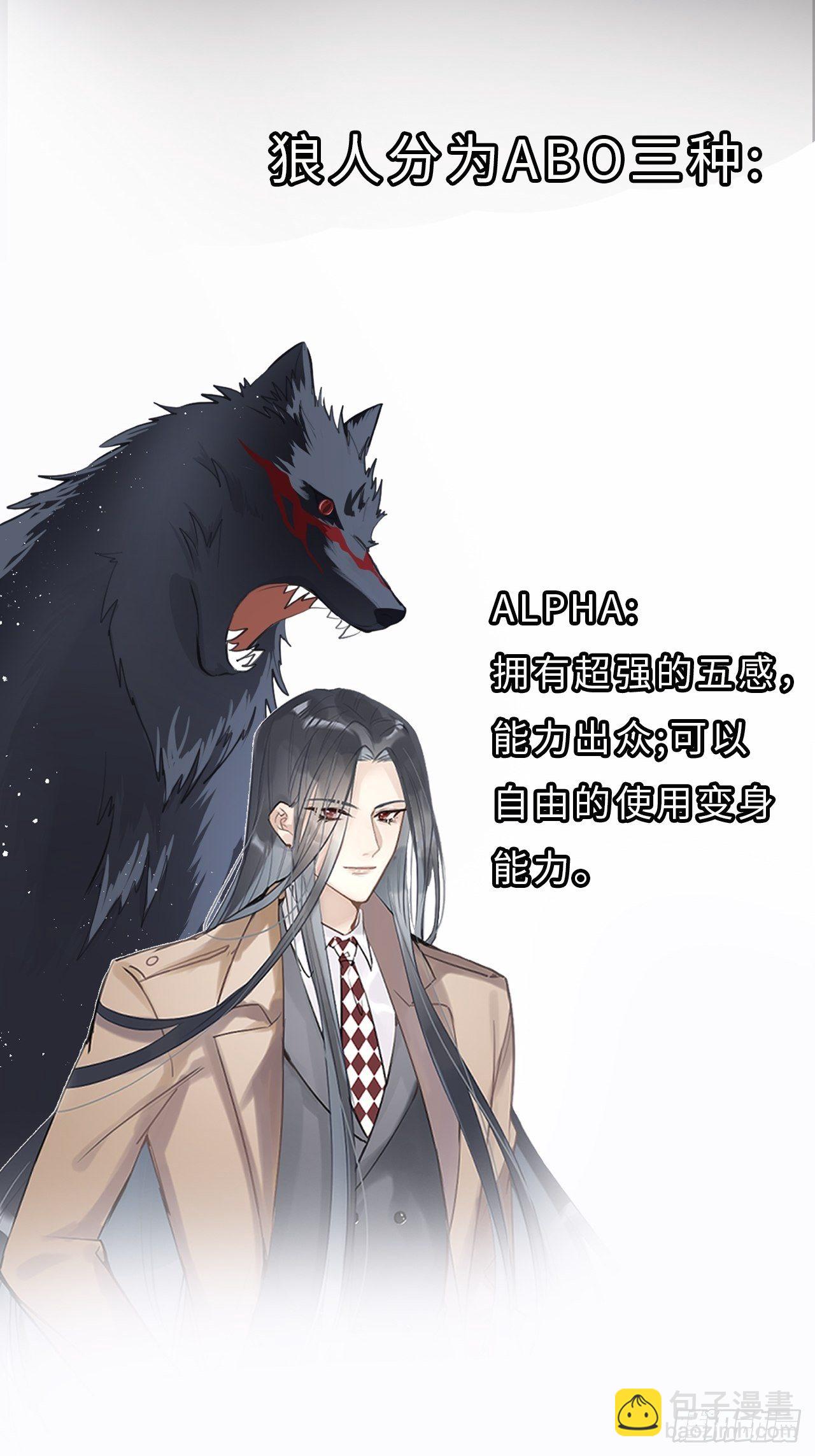 世界观介绍-第2话