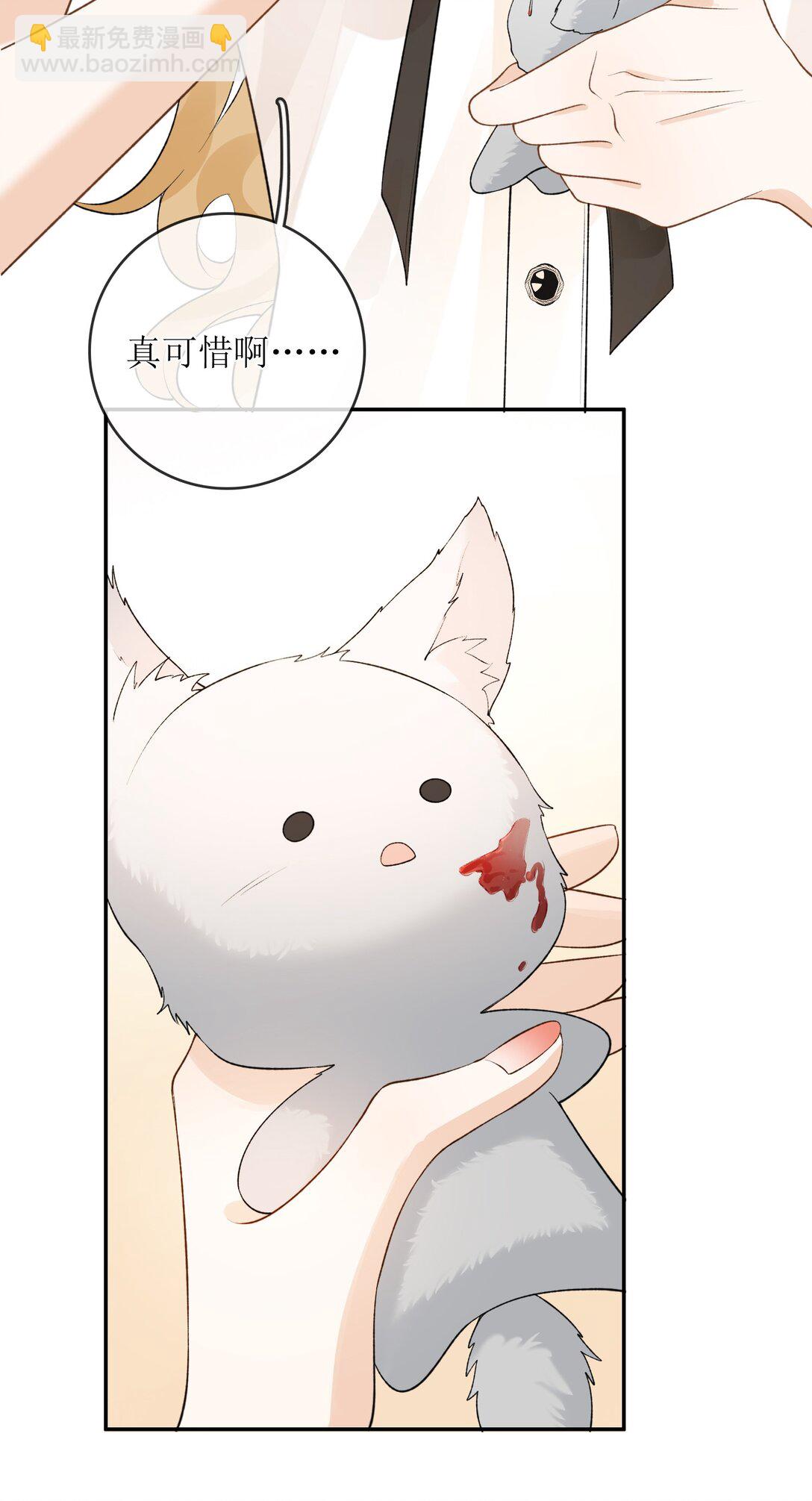 31 夏日危机-第36话