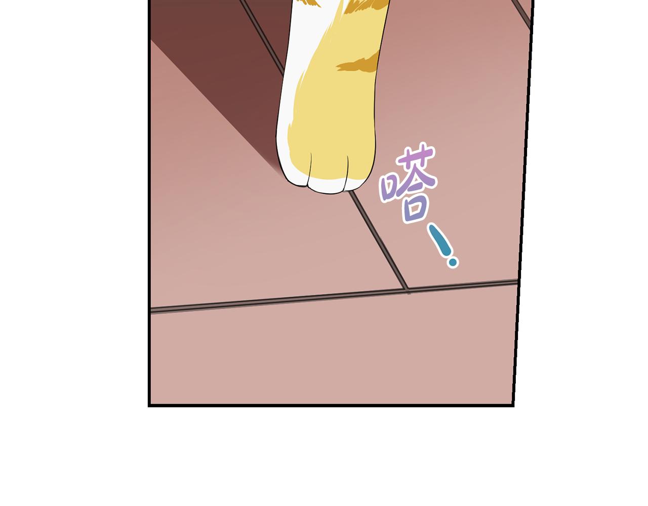 第1话 路边的猫(1/3)-第2话