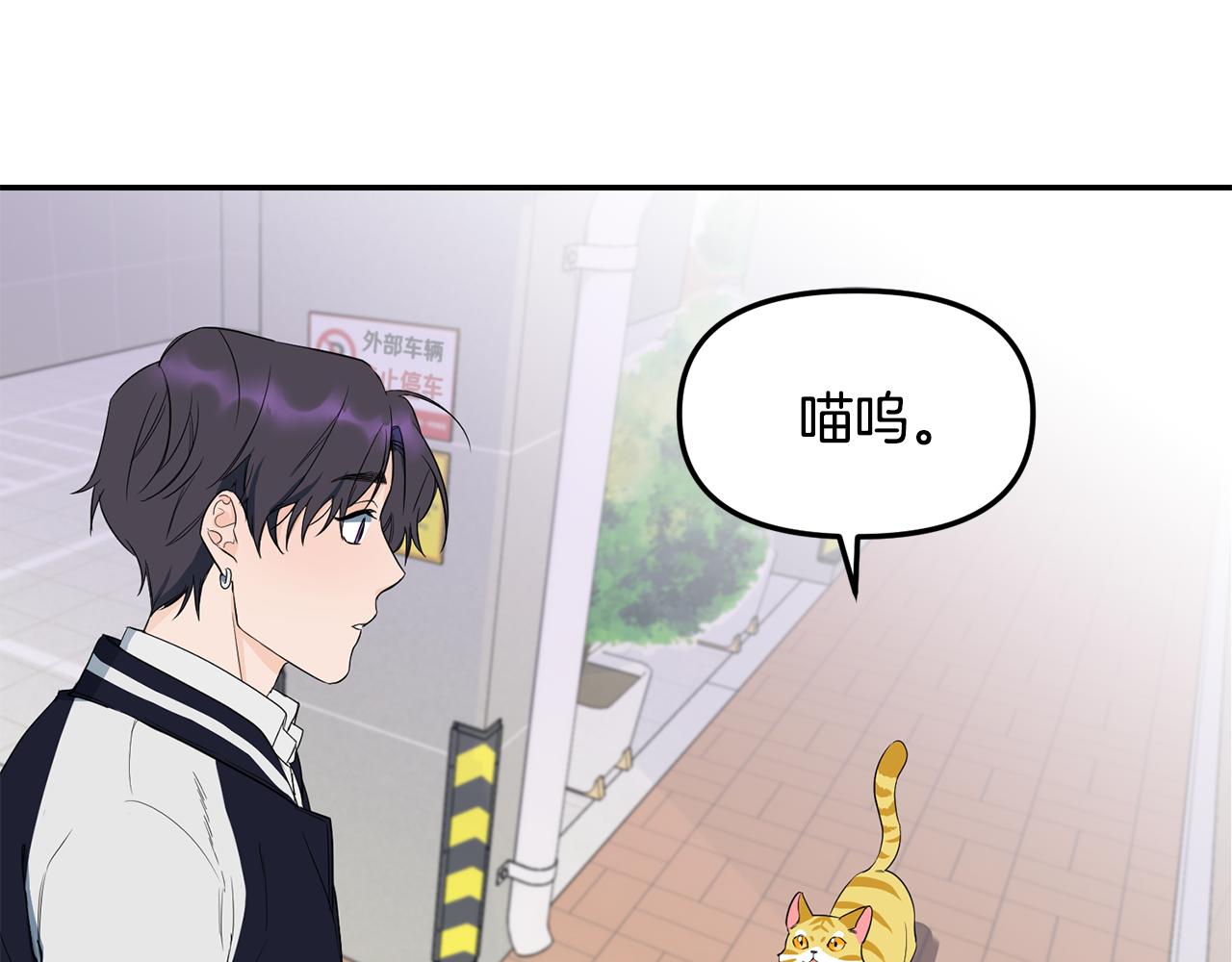 第1话 路边的猫(1/3)-第2话