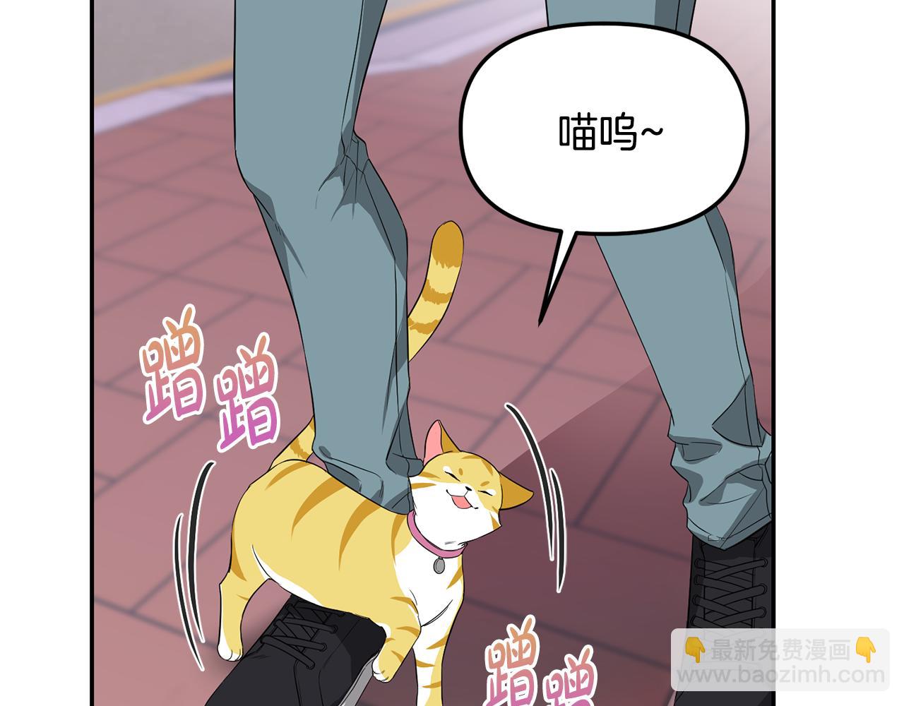 第1话 路边的猫(1/3)-第2话