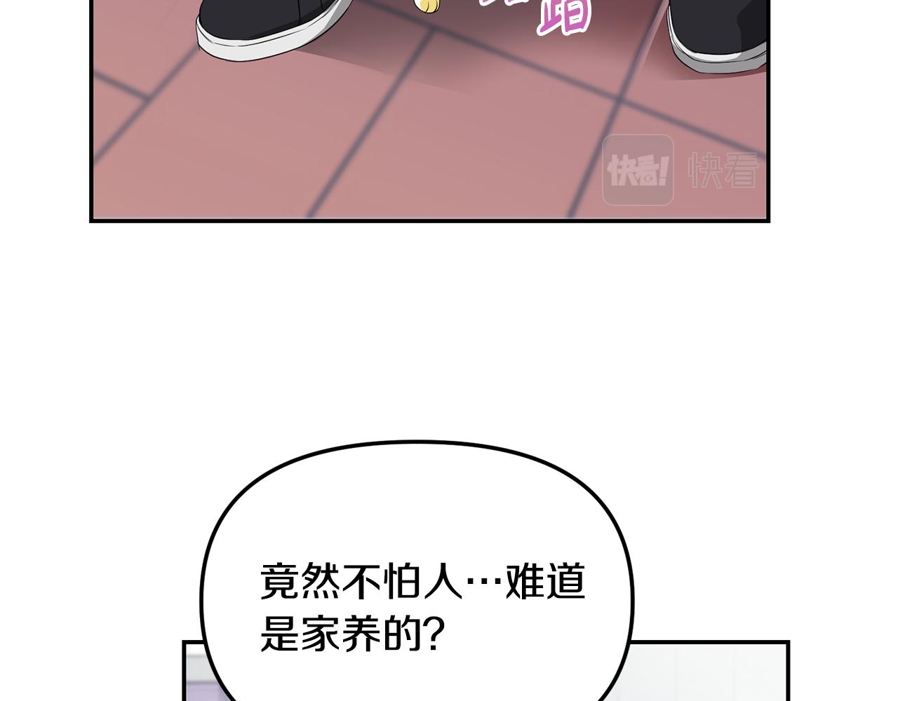 第1话 路边的猫(1/3)-第2话