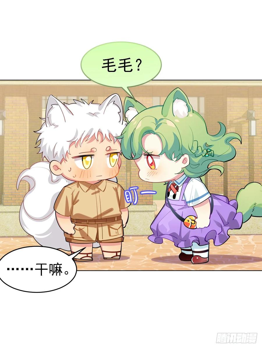 是毛毛可爱还是我可爱-第108话