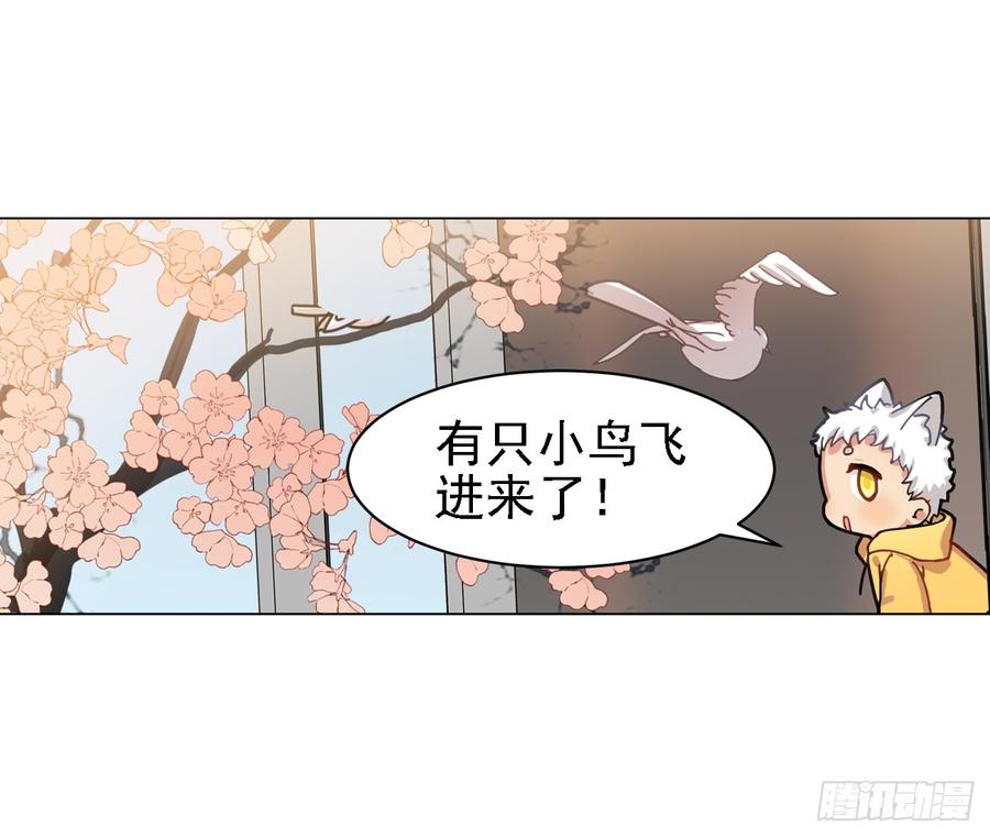 让我一个个捉回来-第50话