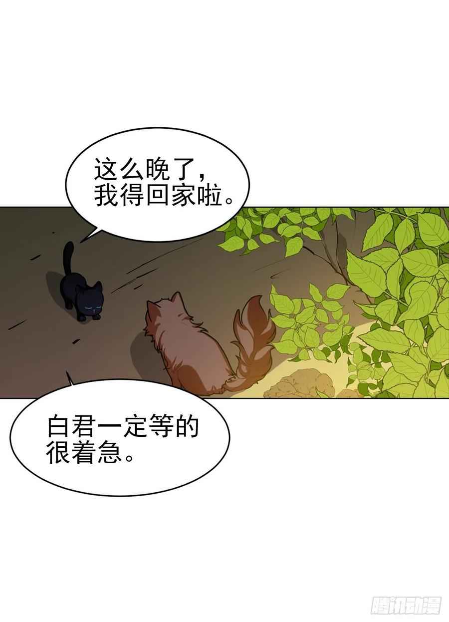 大师失踪的原因-第70话