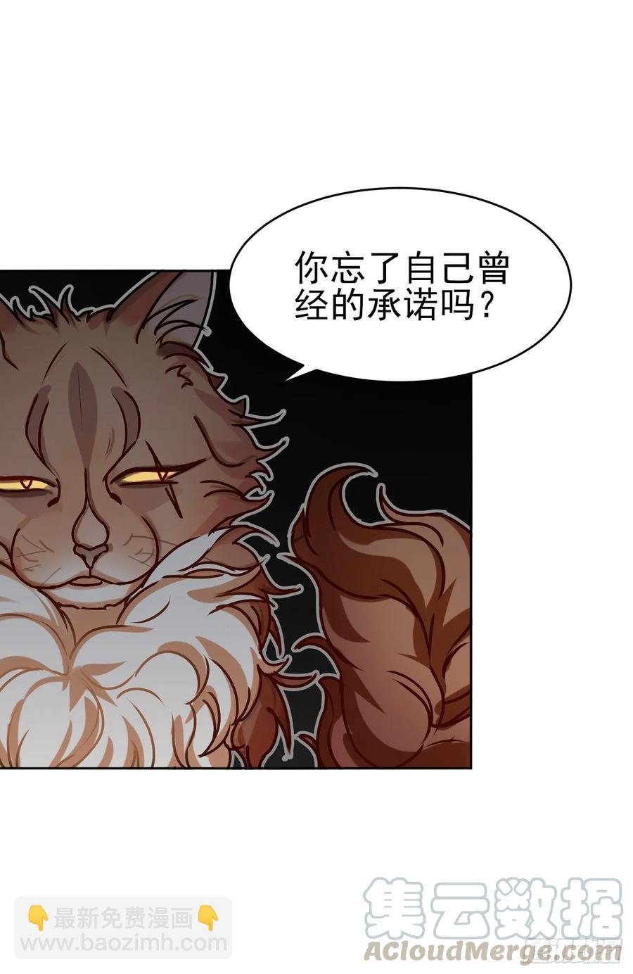 大师失踪的原因-第70话
