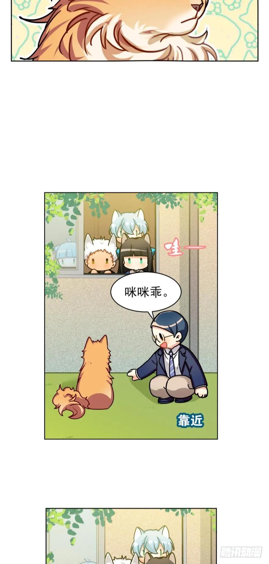 文轩和阿笑的小鸭子-第72话