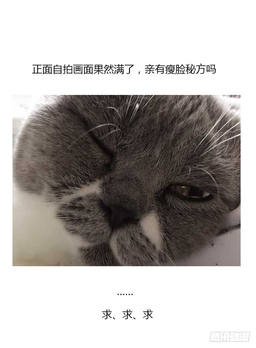 43.地狱归来-第44话