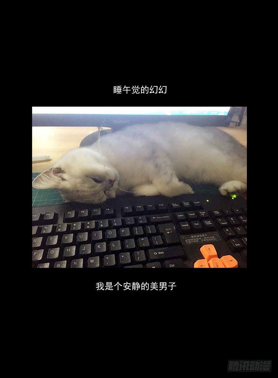47.中秋番外篇-第48话
