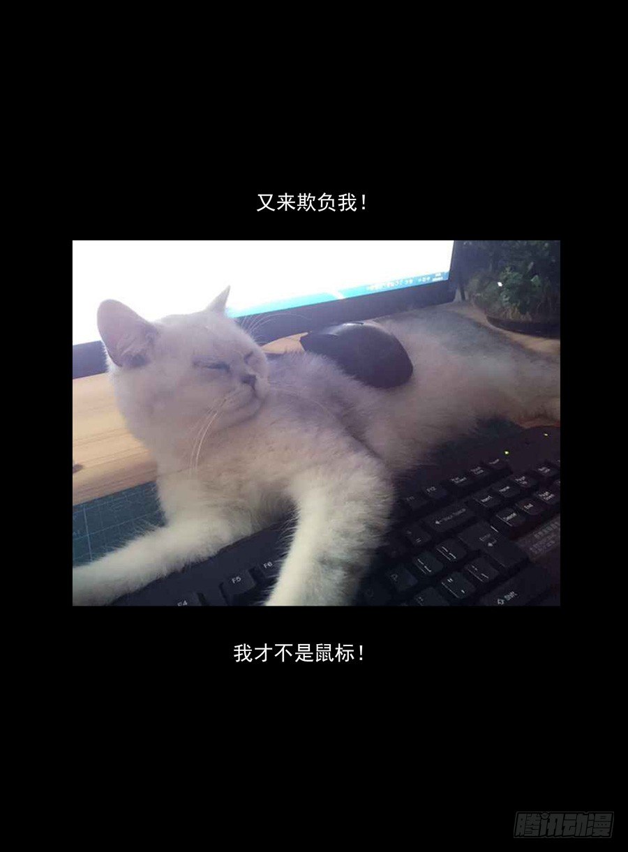 47.中秋番外篇-第48话