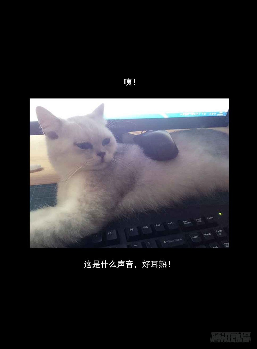 47.中秋番外篇-第48话