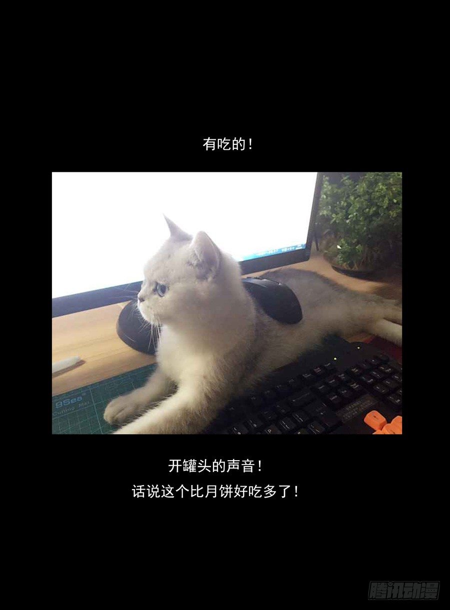 47.中秋番外篇-第48话