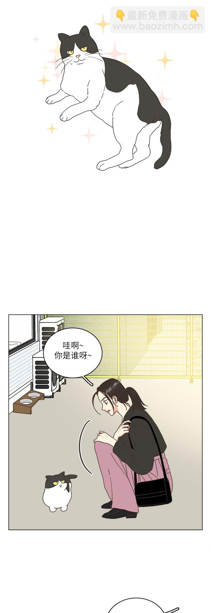 🍔类似恋爱 第18话 第37页