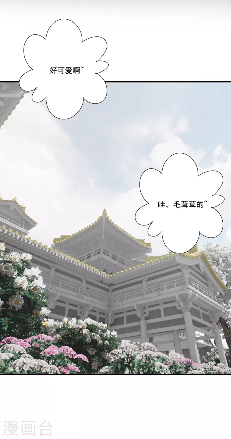 第41话 我不会放弃她-第44话