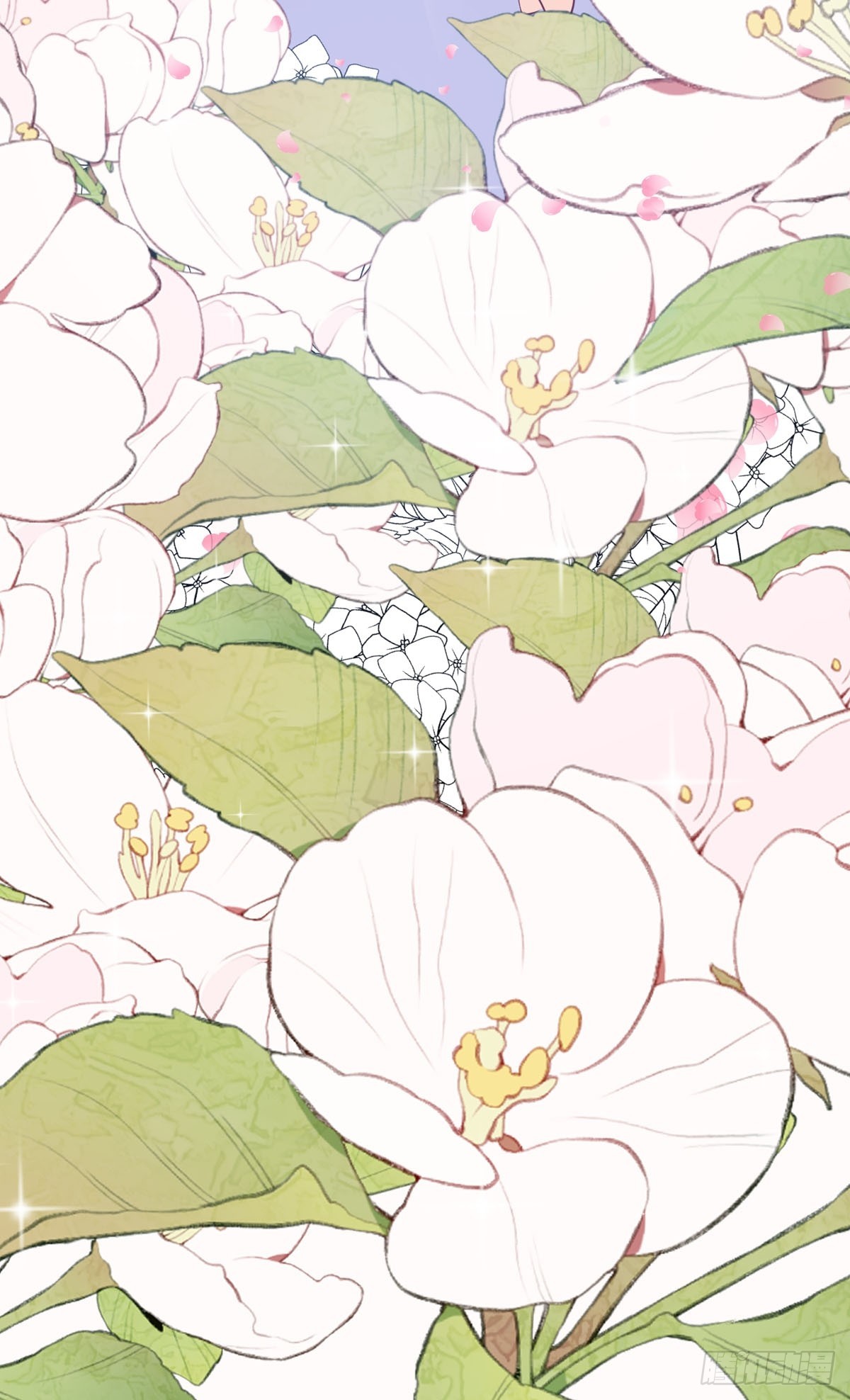 第41话 躲猫猫-第44话
