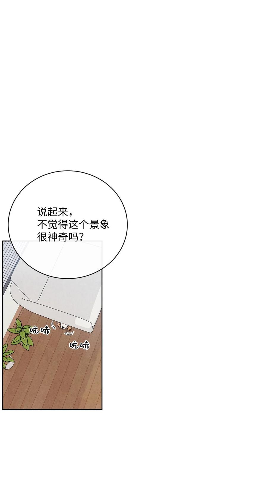 🍔恋爱1+1 35 不会觉得孤独吗？ 第12页