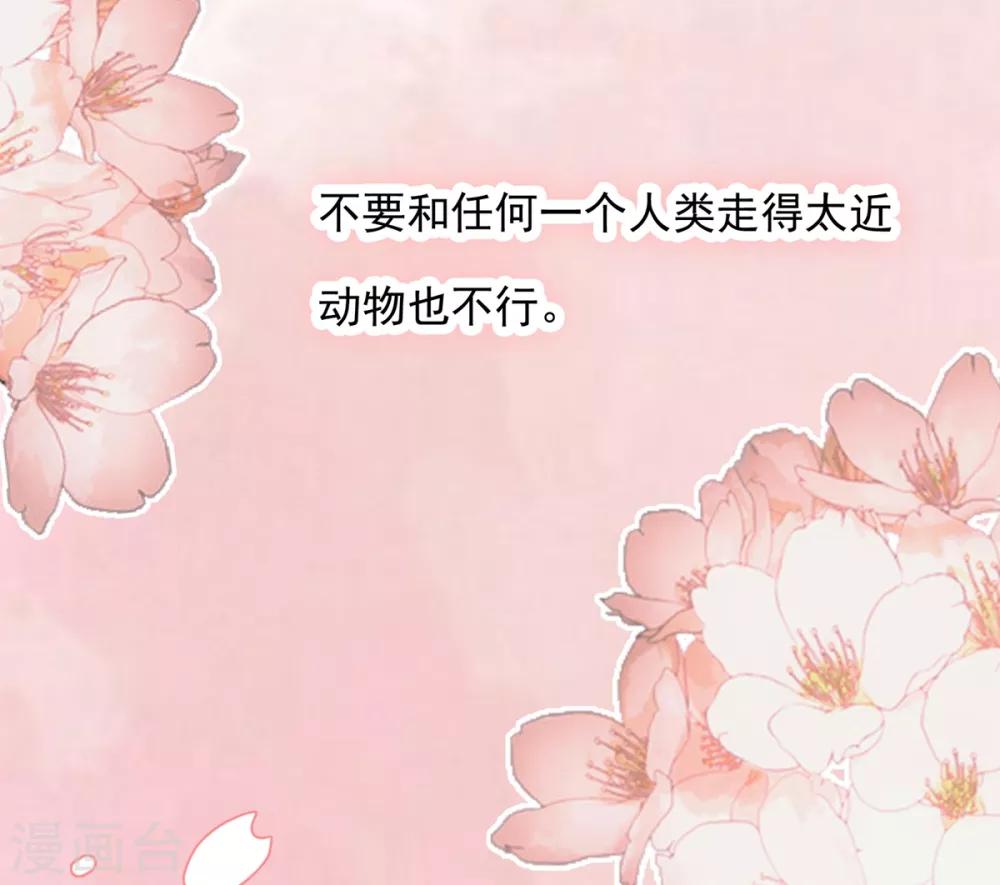 🍔恋爱超速 第20话 师父，好痒~ 第3页