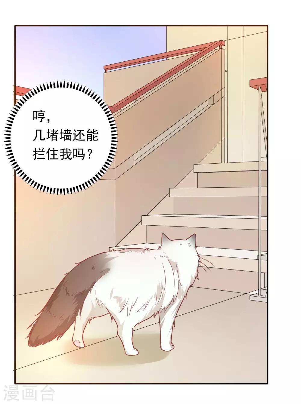 🍔恋爱超速 第27话 口是心非 第25页