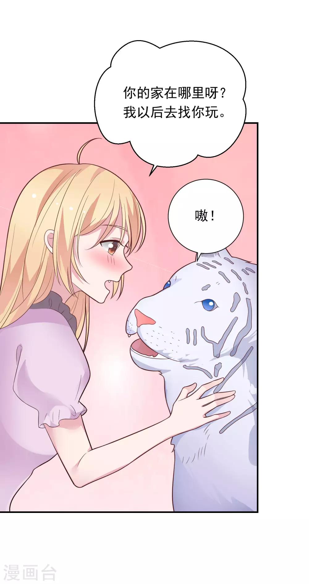 🍔恋爱超速 第41话 撸猫咪 第13页