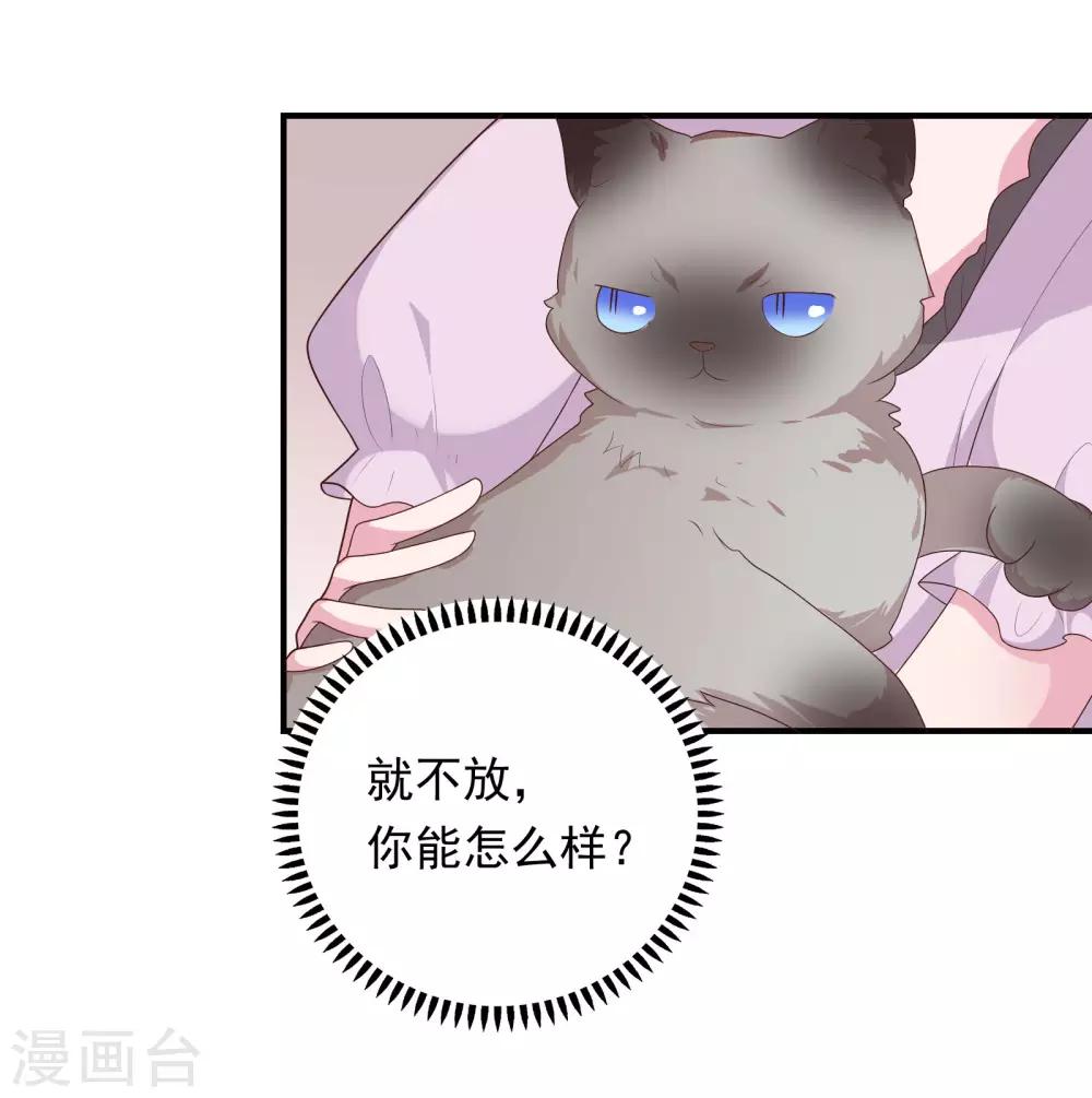 🍔恋爱超速 第41话 撸猫咪 第34页