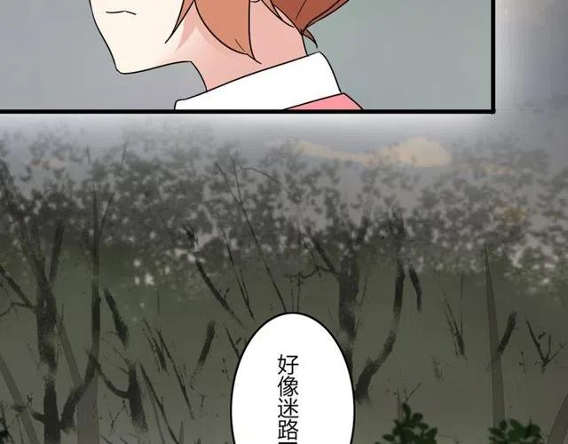 第26话 苏兹森林落难，谁能英雄救美？-第26话