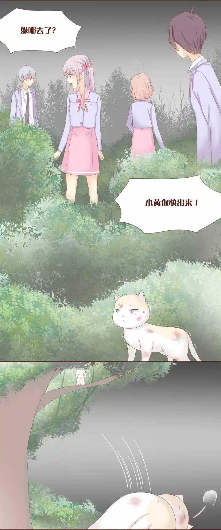 23 小黄被魔法四人组揍得一身伤！-第24话
