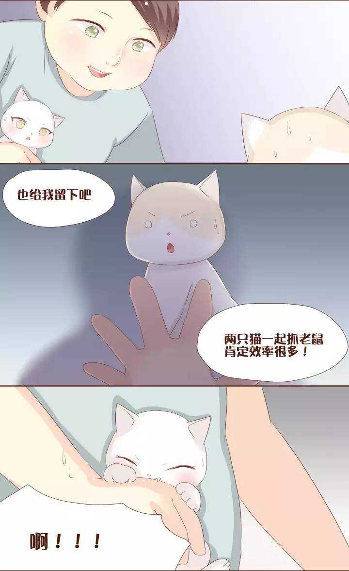 25 一言不合就要打起来了吗！？-第26话