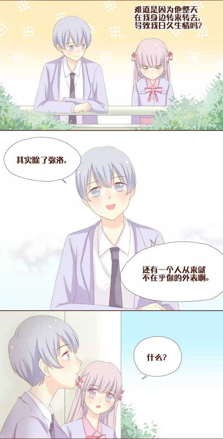 33 卷卷，我好像是喜欢上你了。-第34话