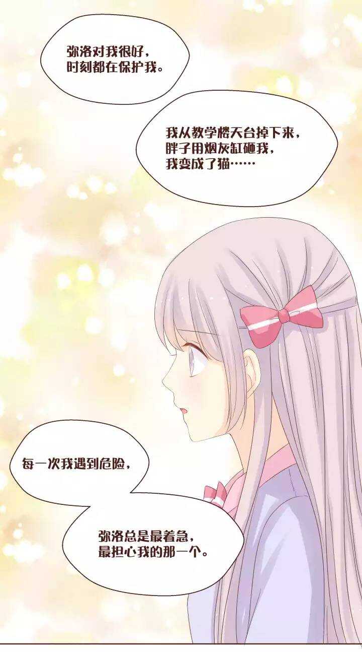 43 你能告诉我弥洛的秘密吗？-第44话