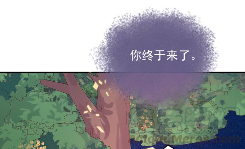 🍔恋爱先知 第222话 古木的力量 第5页