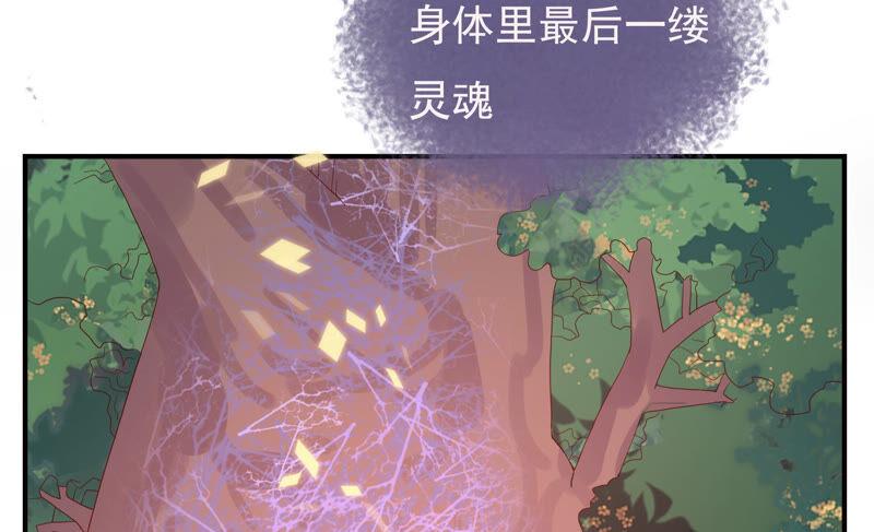 🍔恋爱先知 第222话 古木的力量 第8页