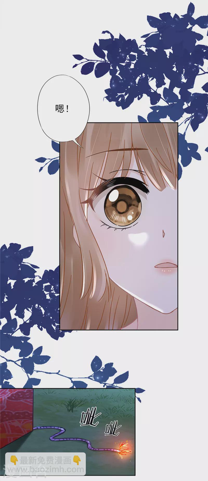 第49话 山顶的一夜-第50话