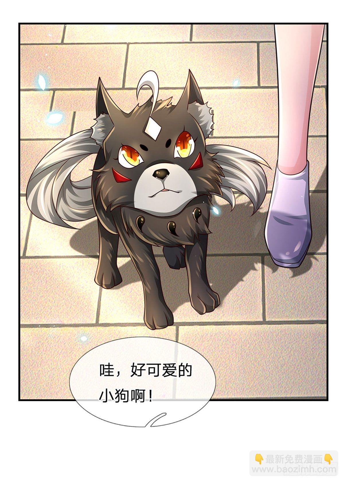 第107话 狗狗这么可爱-第108话