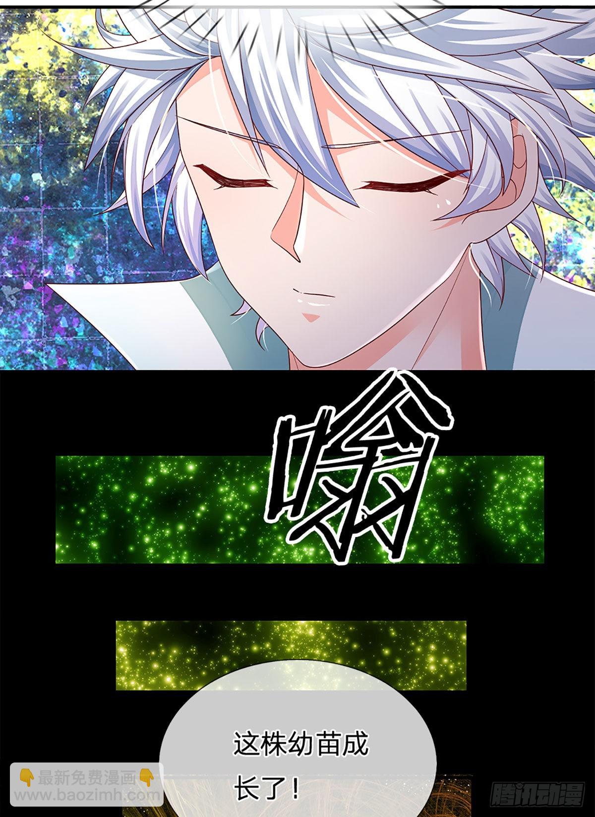 第181话 化石为土-第184话