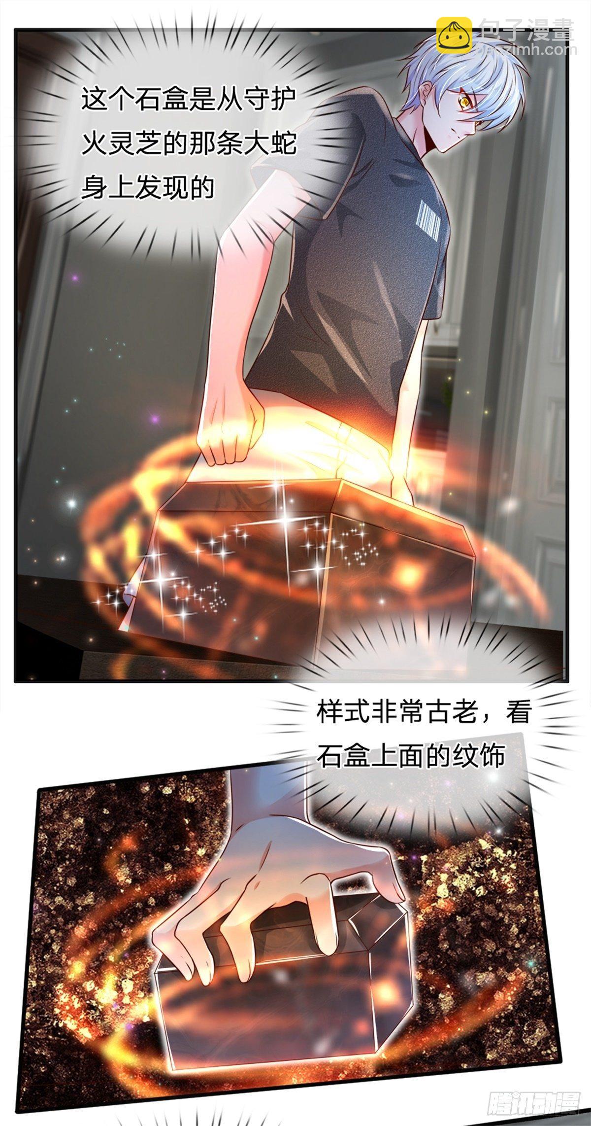 第31话 妖兽内丹炼制之法-第32话