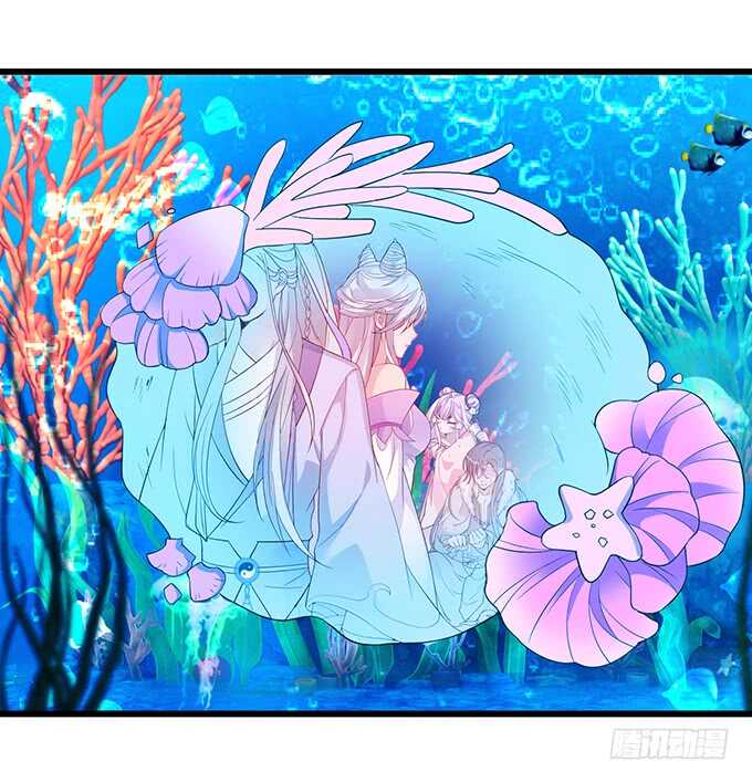 小美人，我有点冷~暖暖~(1/2)-第48话