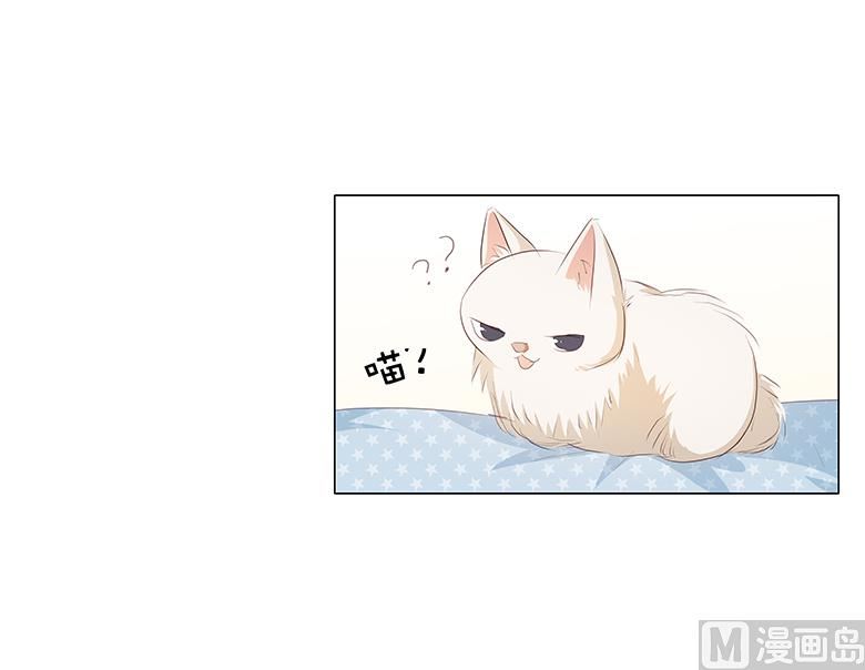 048：订婚快乐-第48话