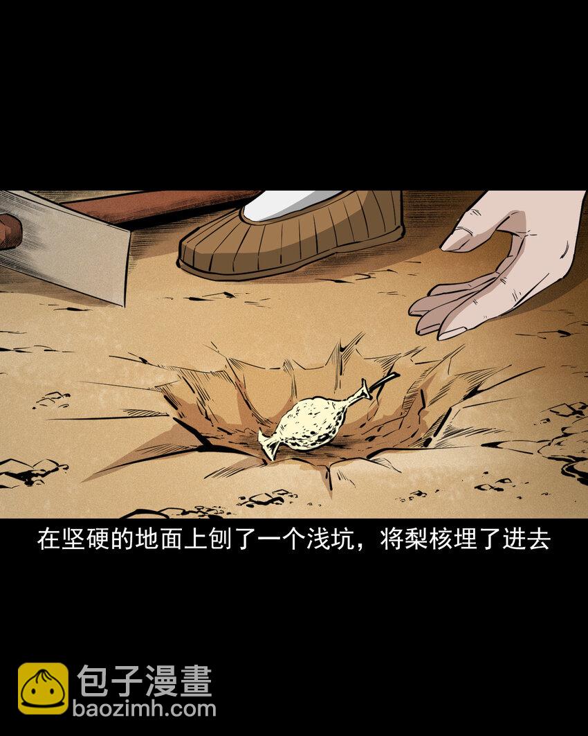 42 第42话仙道种梨-第42话
